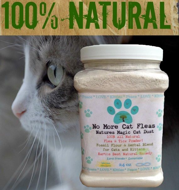 Diatomaceous earth for kittens